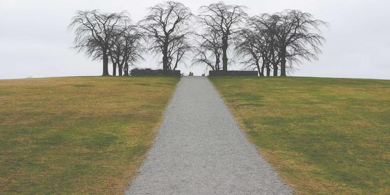 Art45：数字艺术创作的新范式与未来展望