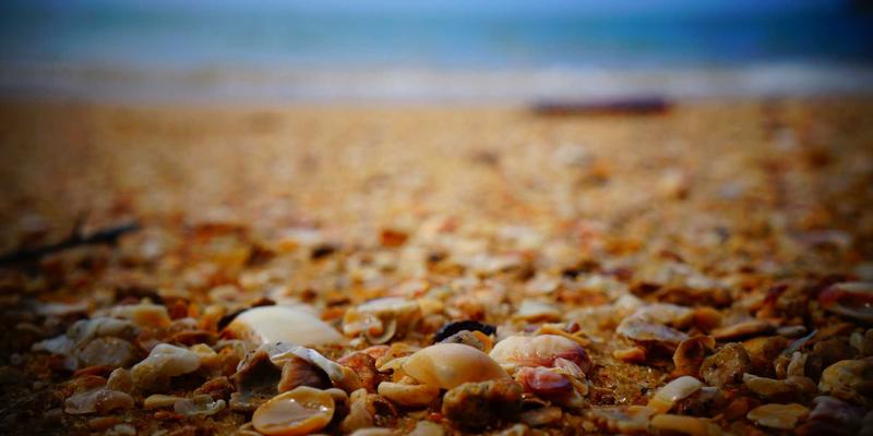 Art73:数字时代的绘画展示新范式