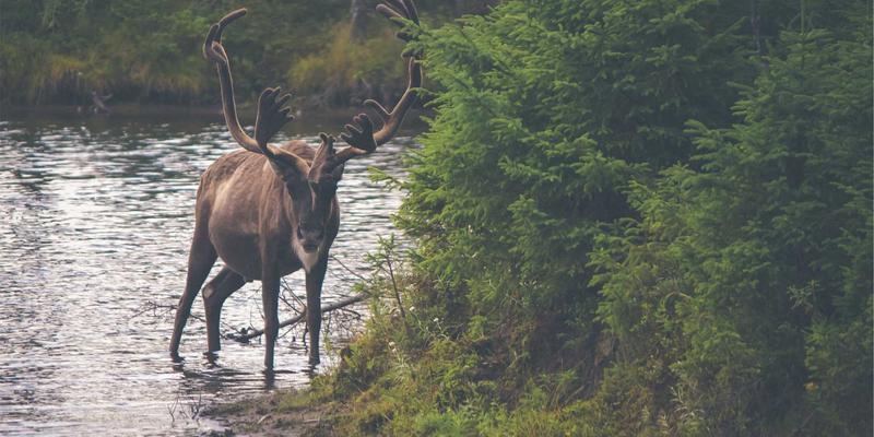 Art90：数字时代的艺术展示革命，如何重塑艺术品与观众的连接
