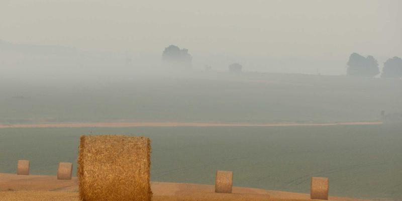 Art92:数字时代艺术家作品集与创作展示的新范式