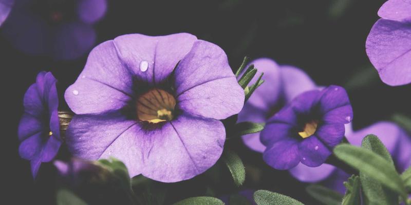 从创伤到创造：艺术治疗如何通过工业艺术与作品集构建治愈PTSD