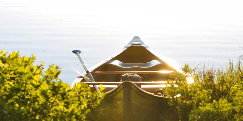 从灵感到杰作:掌握Artwork创作与Painting的核心最佳实践