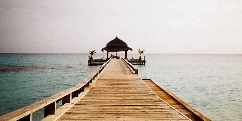 从画室到数字画廊：社交媒体与个人网站如何重塑艺术家的创作与职业