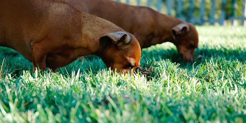 从画布到工业艺术：文艺复兴绘画如何重塑现代雕塑与画廊空间