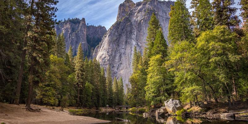 从画布到画廊：如何通过艺术教育与社区展示（Showcase）激发下一代创新者