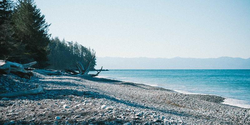 从画布到空间：沉浸式艺术装置如何重塑感官体验与观众心理