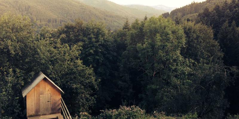 从画布到身份宣言：女性主义艺术家的创作与身体政治