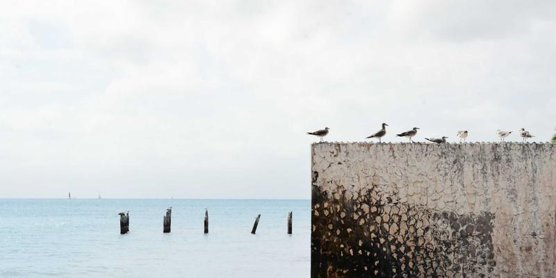 从画笔到神经元：艺术创作与神经科学如何揭示审美体验的脑机制