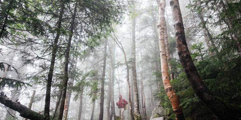 从艺术家作品集到工业艺术：算法偏见如何重塑绘画创作的伦理边界