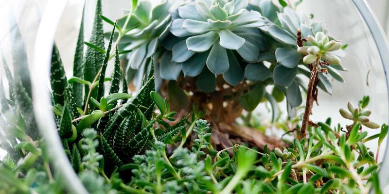 从街头到殿堂：街头艺术如何在画廊与展览中完成主流蜕变