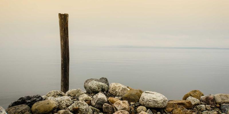 从雕塑到数字画廊:打造顶尖Artist Portfolio的5大艺术技巧