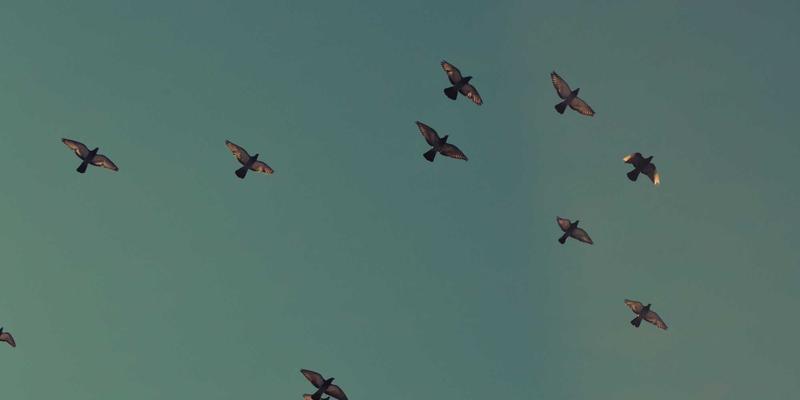 从静态画布到动态宇宙：元宇宙虚拟艺术馆的策展策略与沉浸式体验设计