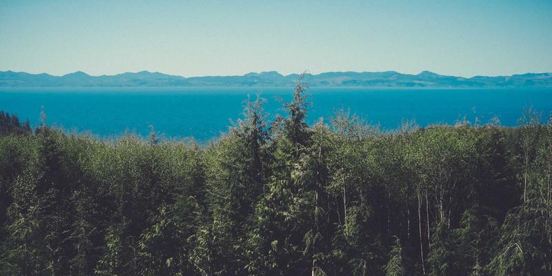 工业艺术语境下的表演艺术档案化挑战：肢体、即兴与短暂性作品的保存与再现