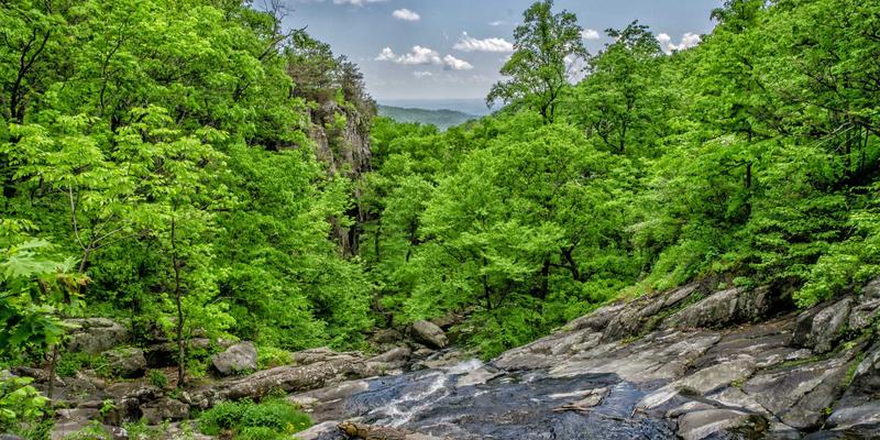数字时代艺术家的生存指南：从Painting到Digital Art的版权保护与作品集策略