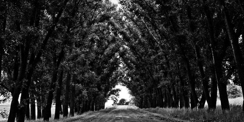 数字艺术、雕塑与绘画：传统手工艺复兴中的创新与可持续商业模式