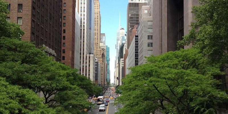 画廊中的视觉政治：后殖民理论如何重塑雕塑与绘画的策展话语