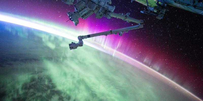 艺术新视野：生态艺术实践如何通过绘画Showcase推动可持续发展