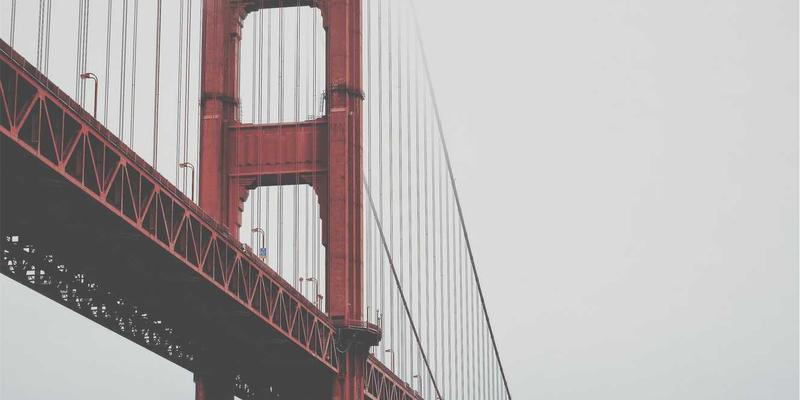 重塑创作边界：生物艺术家的活体媒介伦理与工业美学实践