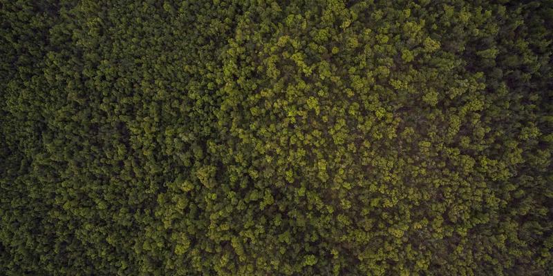 雕塑与工业艺术画廊：高压社会中的艺术疗愈实践与临床干预研究